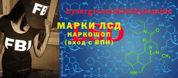 стаф Баксан