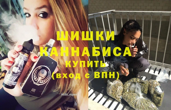 стаф Баксан
